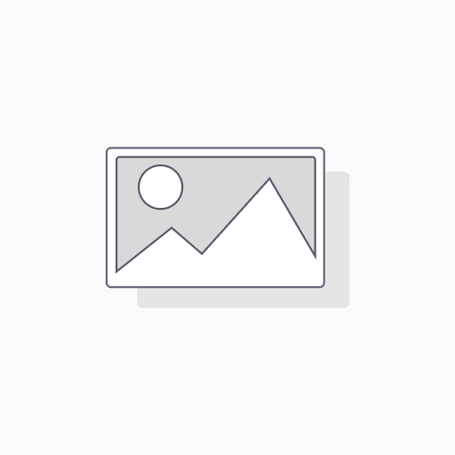 ADVANCE BIO PERRO ADULTO PREMIUM 25% LARGE BREED X 8 KG NUGGETS