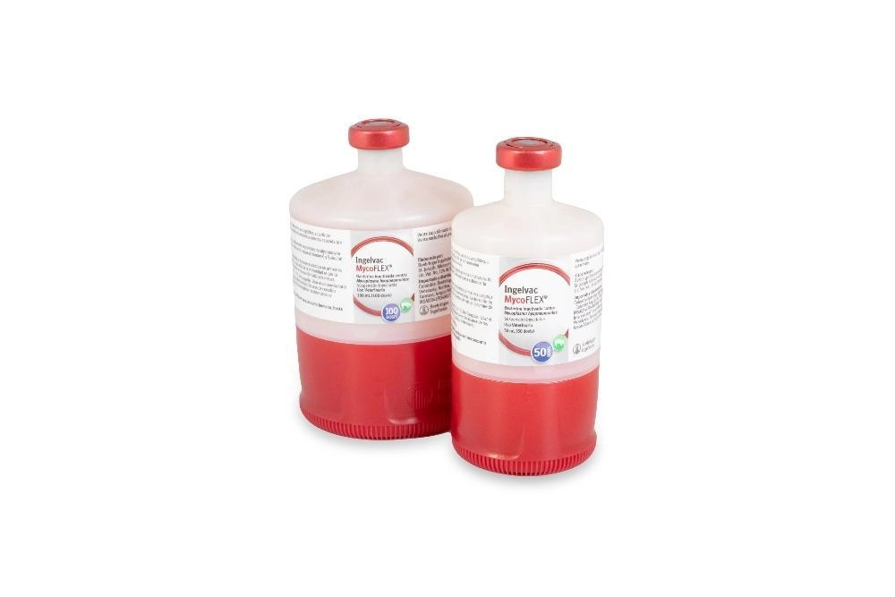 INGELVAC MYCOFLEX  X 50 DS.