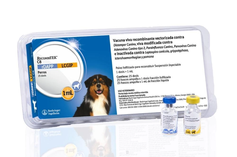 RECOMBITEK C8 X 25 DS(BOEHRINGER)