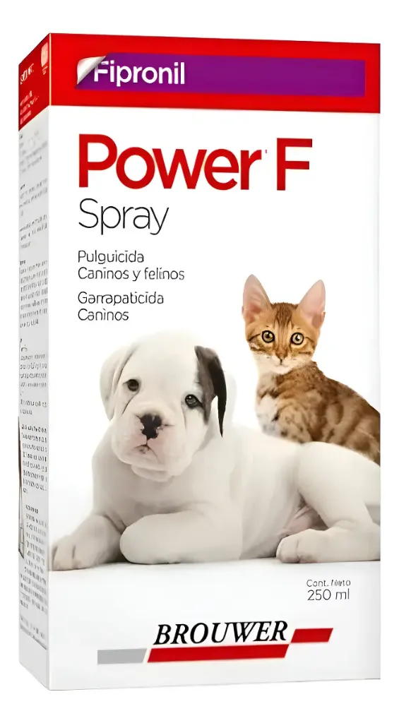 POWER SPRAY X 250 ML