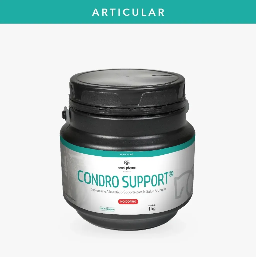 CONDROSUPPORT L X 150 ML