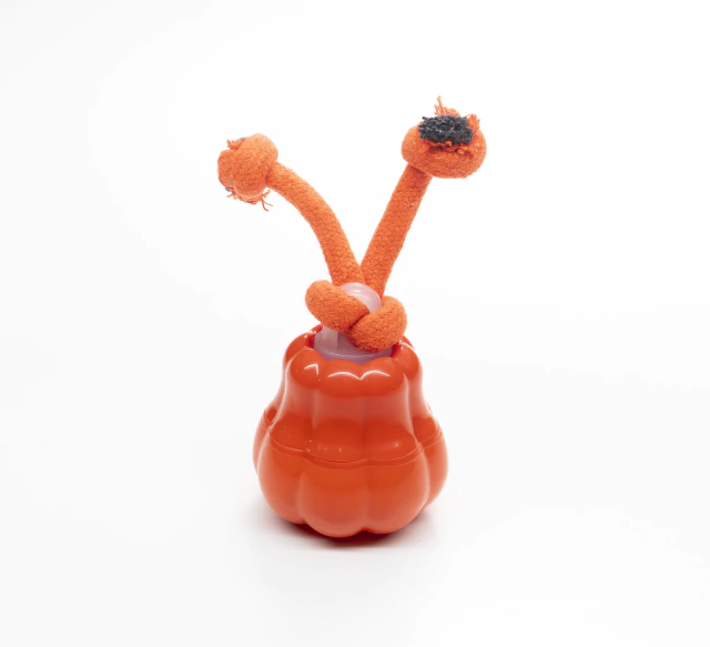 Electric Toy Orange calabaza 8x10cm