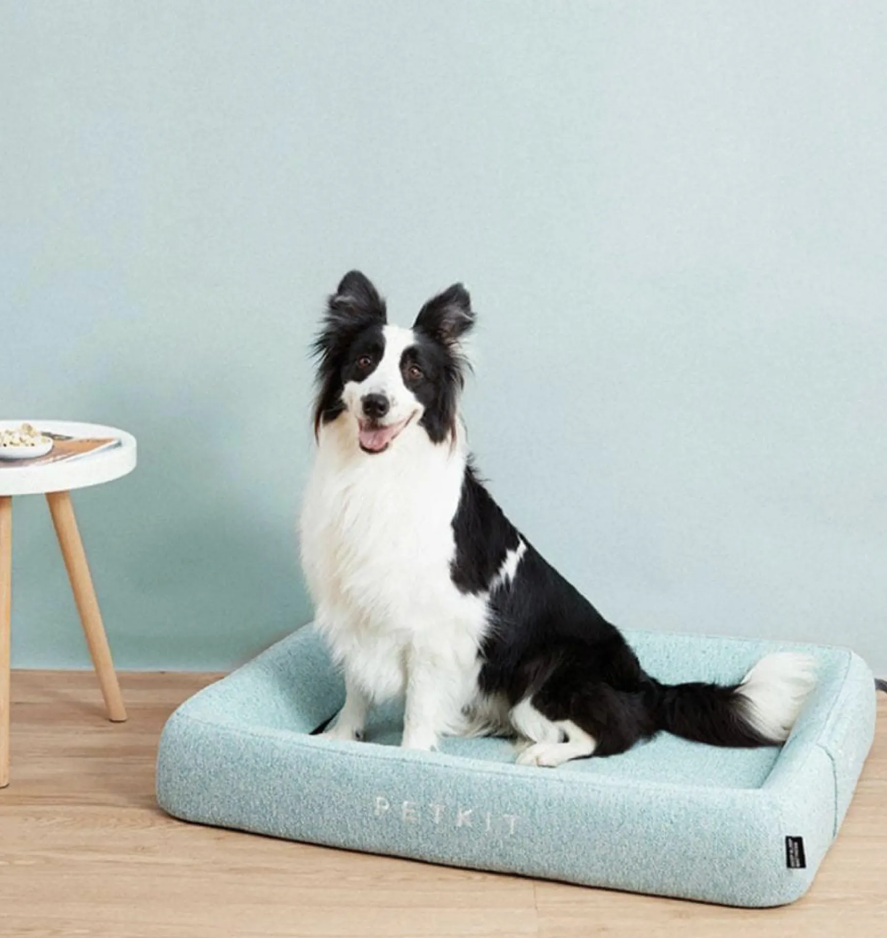 SLEEP BED FOUR Small 51x40x11